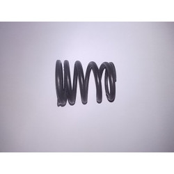 Ressort soupape échappement et admission Rekord D 2.1 Diesel