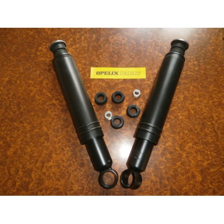 Amortisseurs Arr hydraulique x2