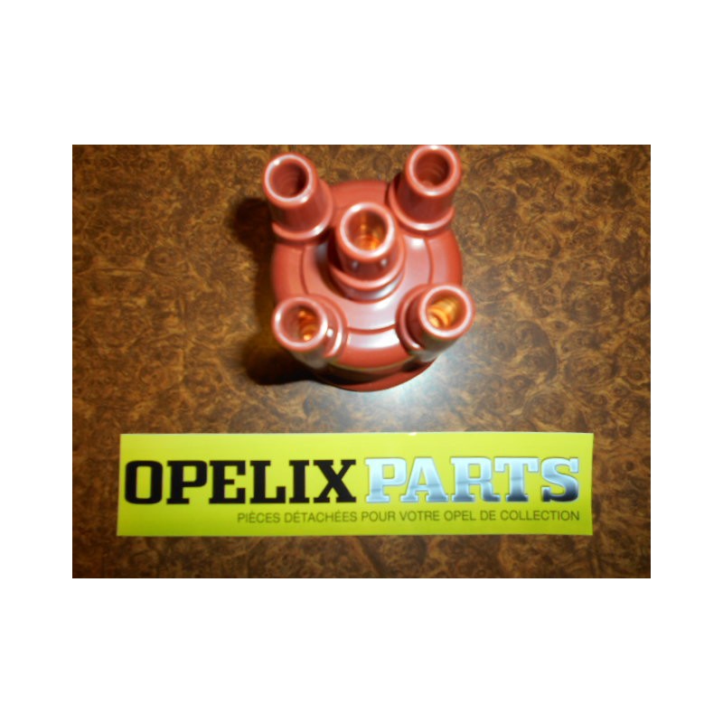 tete d'allumeur système Bosch