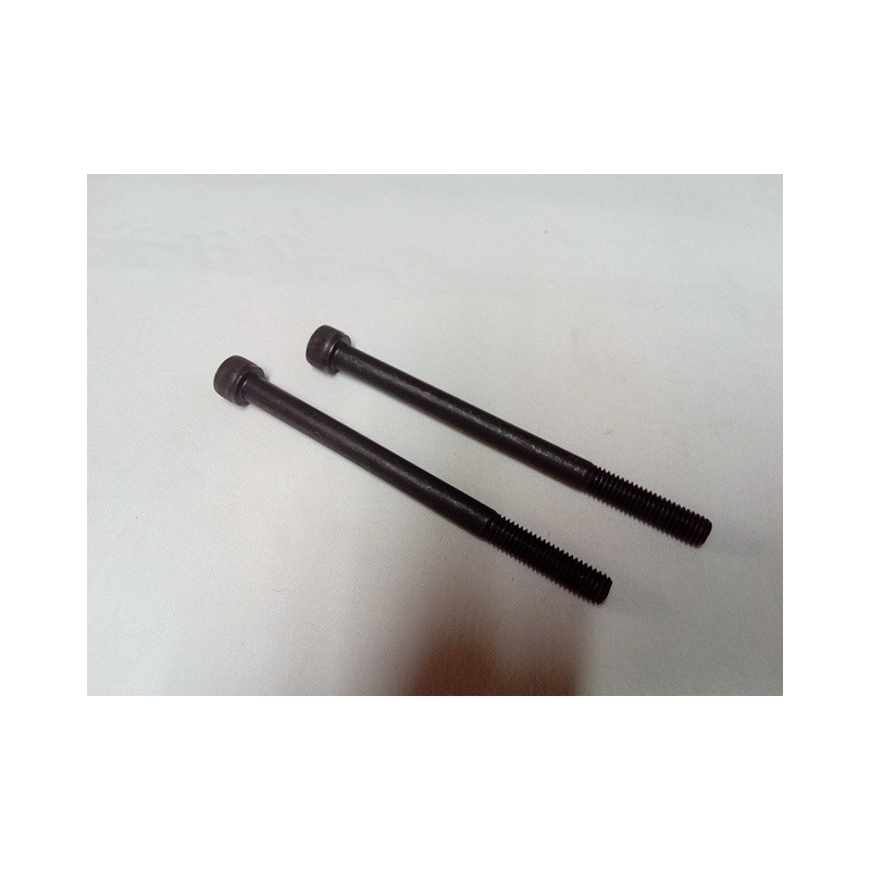 Vis en bout de culasse x2