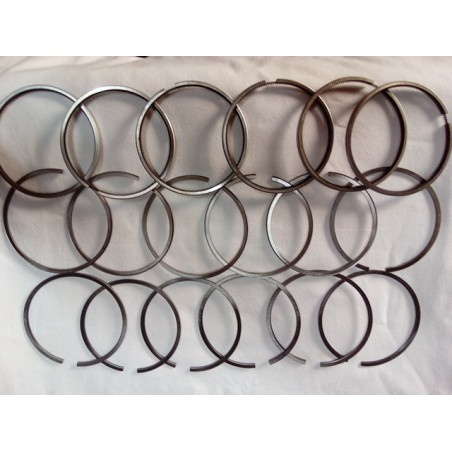 segments 6