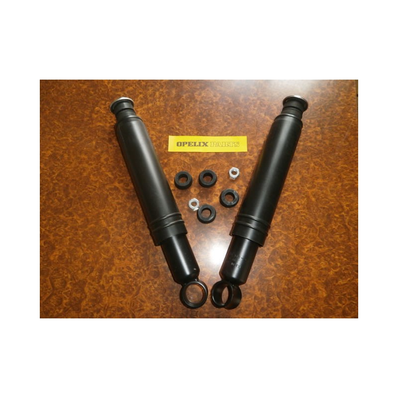 Amortisseurs Arr hydraulique x2